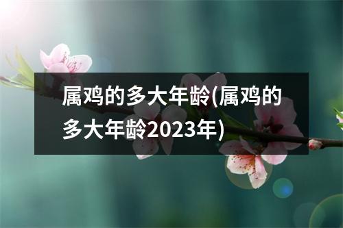 属鸡的多大年龄(属鸡的多大年龄2023年)