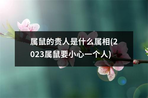 属鼠的贵人是什么属相(2023属鼠要小心一个人)