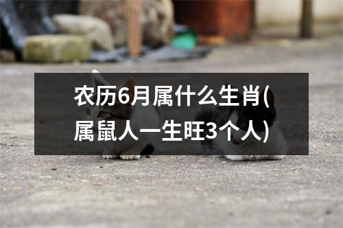 农历6月属什么生肖(属鼠人一生旺3个人)