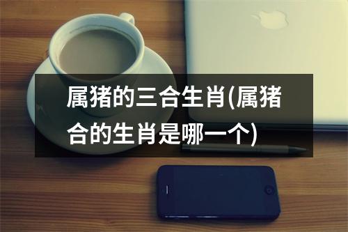 属猪的三合生肖(属猪合的生肖是哪一个)