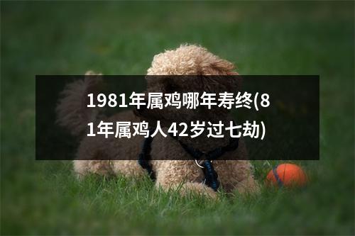 1981年属鸡哪年寿终(81年属鸡人42岁过七劫)