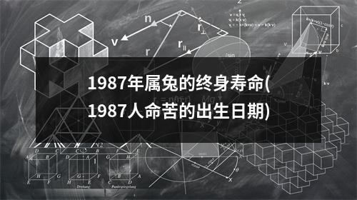 1987年属兔的终身寿命(1987人命苦的出生日期)