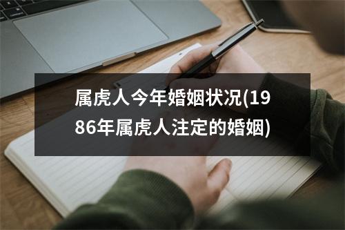 属虎人今年婚姻状况(1986年属虎人注定的婚姻)