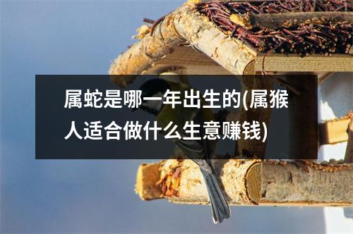 属蛇是哪一年出生的(属猴人适合做什么生意赚钱)