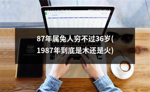 87年属兔人穷不过36岁(1987年到底是木还是火)