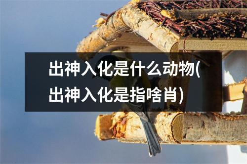 出神入化是什么动物(出神入化是指啥肖)