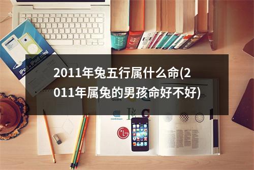 2011年兔五行属什么命(2011年属兔的男孩命好不好)