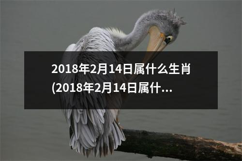 2018年2月14日属什么生肖(2018年2月14日属什么生肖是什么星座)