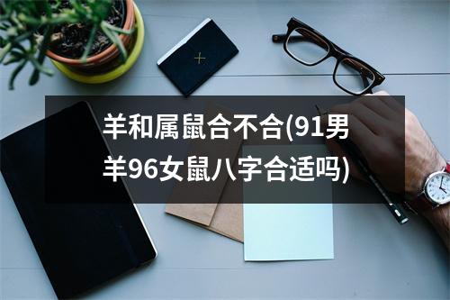 羊和属鼠合不合(91男羊96女鼠八字合适吗)