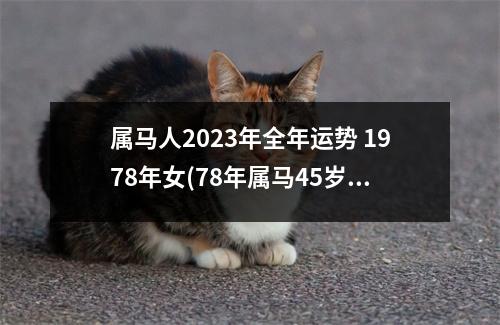 属马人2023年全年运势 1978年女(78年属马45岁2023劫难)