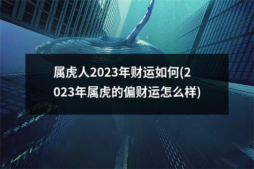 属虎人2023年财运如何(2023年属虎的偏财运怎么样)