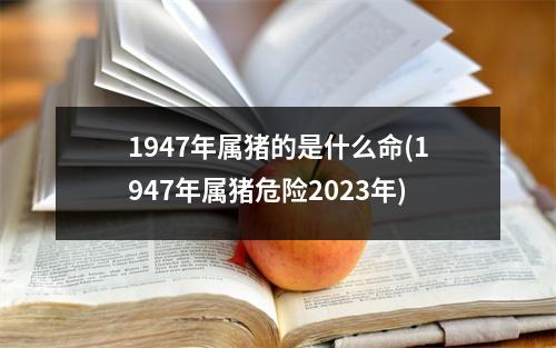 1947年属猪的是什么命(1947年属猪危险2023年)