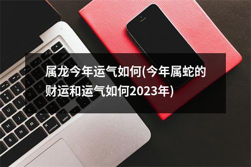 属龙今年运气如何(今年属蛇的财运和运气如何2023年)