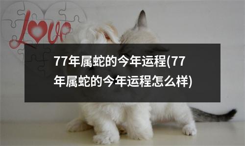 77年属蛇的今年运程(77年属蛇的今年运程怎么样)