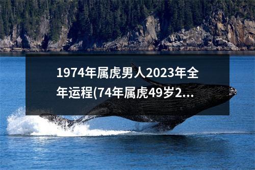 1974年属虎男人2023年全年运程(74年属虎49岁2023劫难)