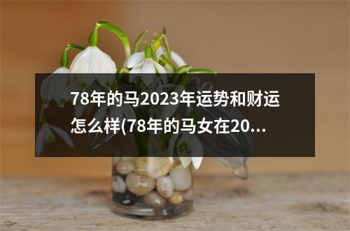 78年的马2023年运势和财运怎么样(78年的马女在2023年的财运怎么样)