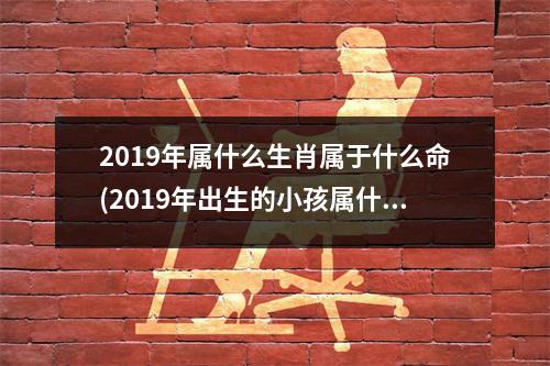 2019年属什么生肖属于什么命(2019年出生的小孩属什么生肖)