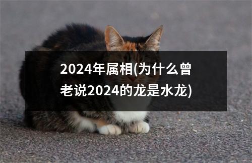 2024年属相(为什么曾老说2024的龙是水龙)