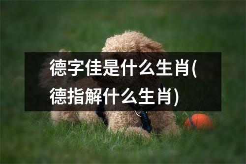 德字佳是什么生肖(德指解什么生肖)