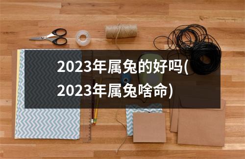 2023年属兔的好吗(2023年属兔啥命)