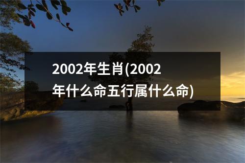 2002年生肖(2002年什么命五行属什么命)