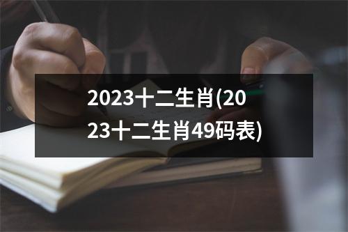 2023十二生肖(2023十二生肖49码表)