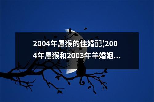 2004年属猴的佳婚配(2004年属猴和2003年羊婚姻)