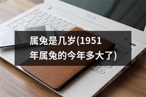 属兔是几岁(1951年属兔的今年多大了)