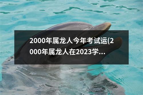 2000年属龙人今年考试运(2000年属龙人在2023学业运)