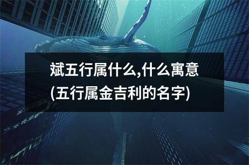 斌五行属什么,什么寓意(五行属金吉利的名字)