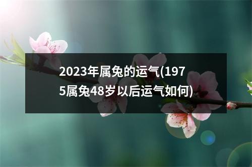 2023年属兔的运气(1975属兔48岁以后运气如何)