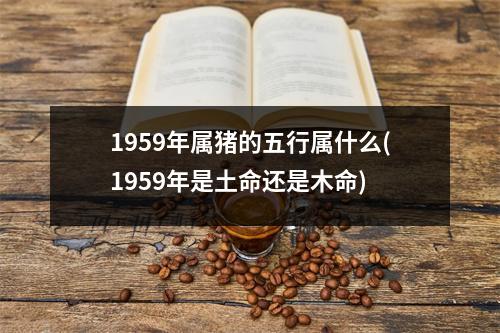 1959年属猪的五行属什么(1959年是土命还是木命)