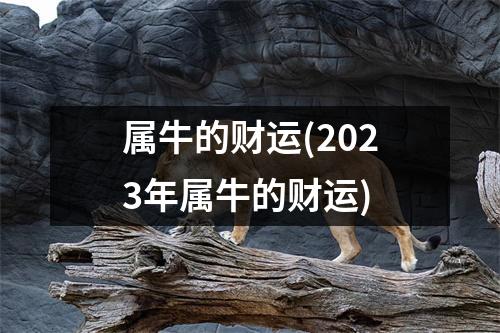 属牛的财运(2023年属牛的财运)