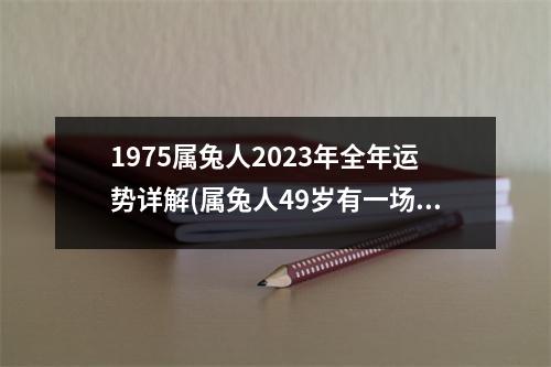 1975属兔人2023年全年运势详解(属兔人49岁有一场大灾难)