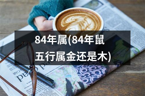 84年属(84年鼠五行属金还是木)