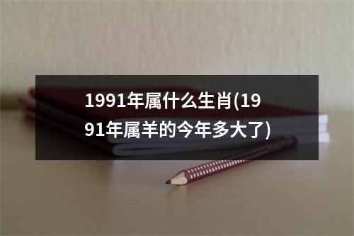 1991年属什么生肖(1991年属羊的今年多大了)