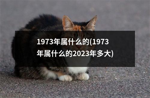 1973年属什么的(1973年属什么的2023年多大)