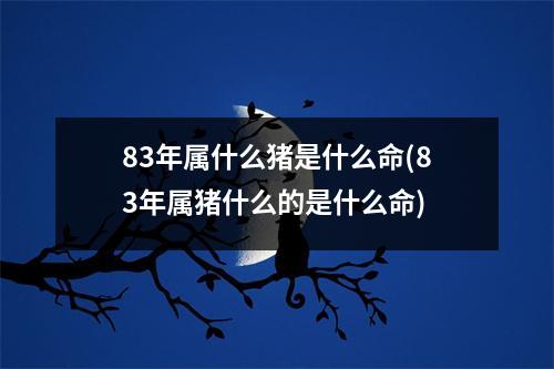 83年属什么猪是什么命(83年属猪什么的是什么命)