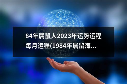 84年属鼠人2023年运势运程每月运程(1984年属鼠海中金命五行缺什么)