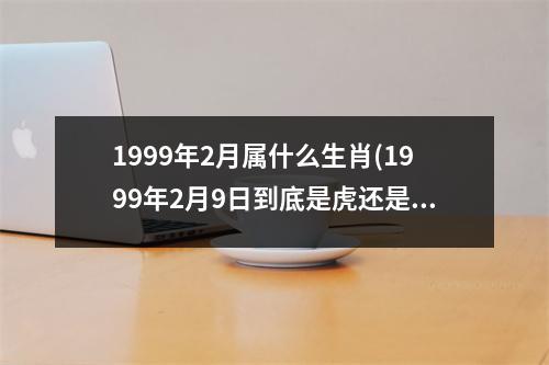 1999年2月属什么生肖(1999年2月9日到底是虎还是兔)