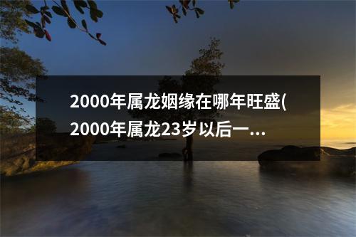 2000年属龙姻缘在哪年旺盛(2000年属龙23岁以后一生命运)