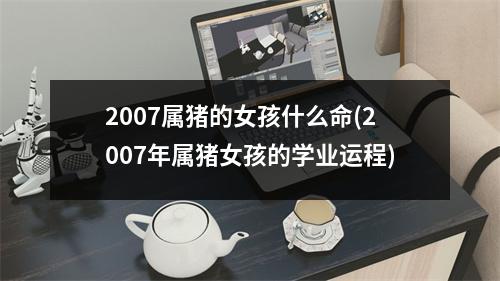 2007属猪的女孩什么命(2007年属猪女孩的学业运程)