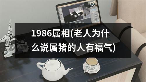 1986属相(老人为什么说属猪的人有福气)