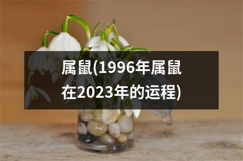 属鼠(1996年属鼠在2023年的运程)