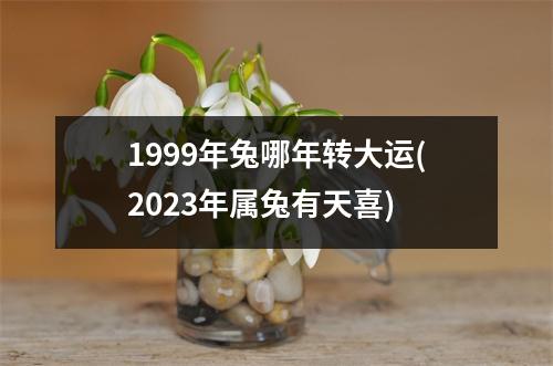 1999年兔哪年转大运(2023年属兔有天喜)