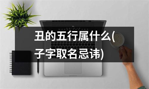 丑的五行属什么(子字取名忌讳)