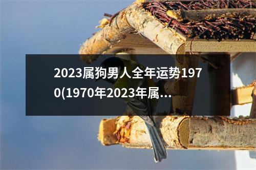 2023属狗男人全年运势1970(1970年2023年属狗男全年运势)