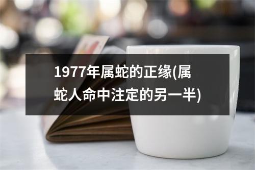 1977年属蛇的正缘(属蛇人命中注定的另一半)