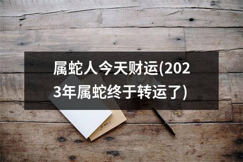 属蛇人今天财运(2023年属蛇终于转运了)