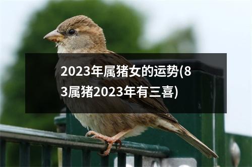 2023年属猪女的运势(83属猪2023年有三喜)